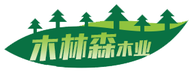 逐梦国际