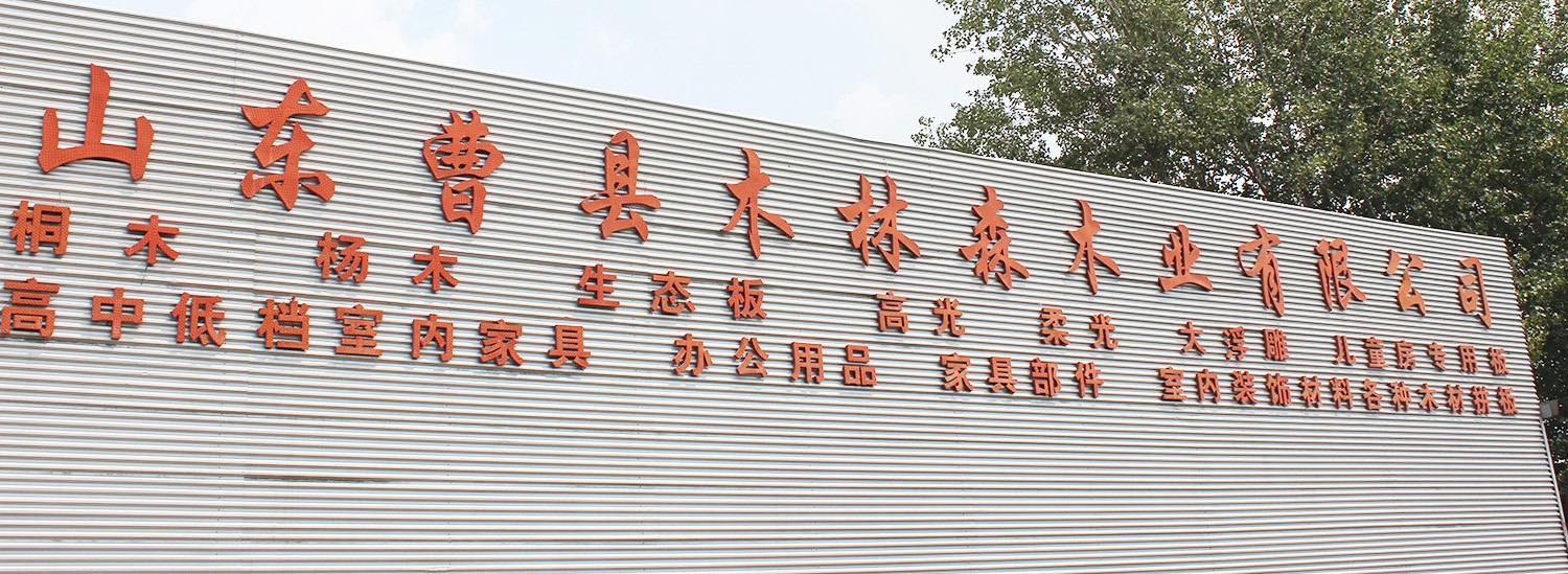 逐梦国际